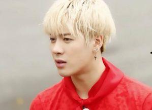 娱乐吃瓜君王嘉尔小说,娱乐圈的瓜田传奇