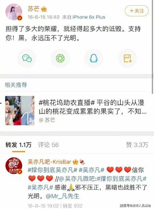 娱乐吃瓜而已百度云网盘