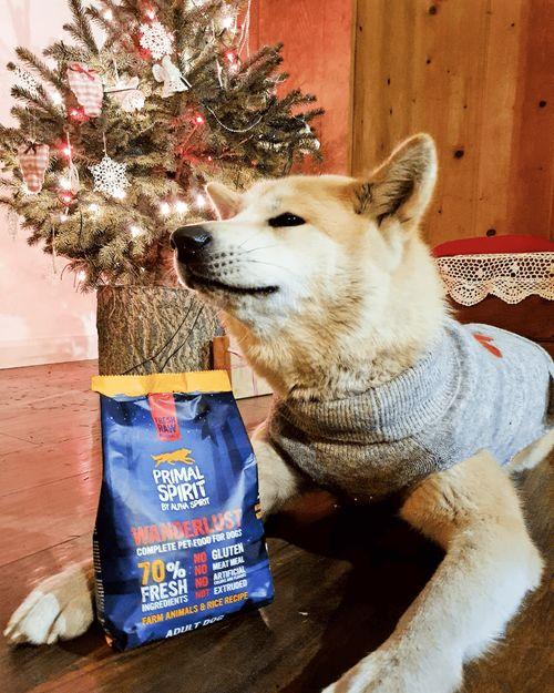 娱乐吃瓜养狗视频下载,一键下载，轻松享受欢乐时光