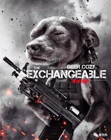 娱乐吃瓜汪星人是谁啊,网络红星的崛起之路