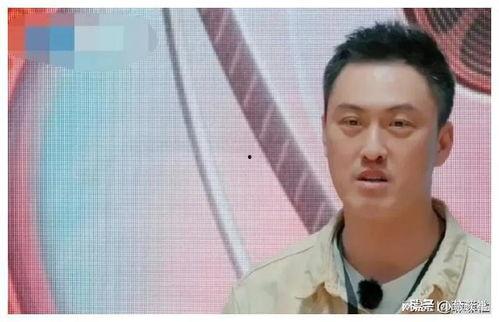 娱乐圈的吃瓜现状,揭秘吃瓜群众的狂欢盛宴